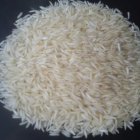1121 Steam Premium Basmati Rice
