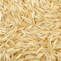 1509 Golden Sella Premium Basmati Rice